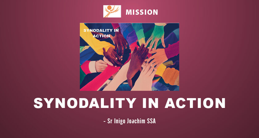 Synodality in Action
