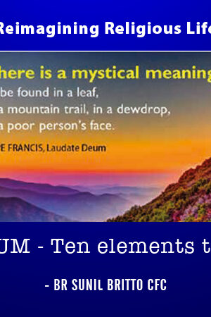 LAUDATE DEUM : Ten elements that amaze me