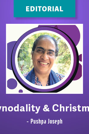 Synodality and Christmas