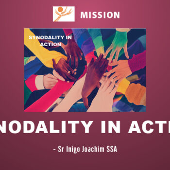 Synodality in Action