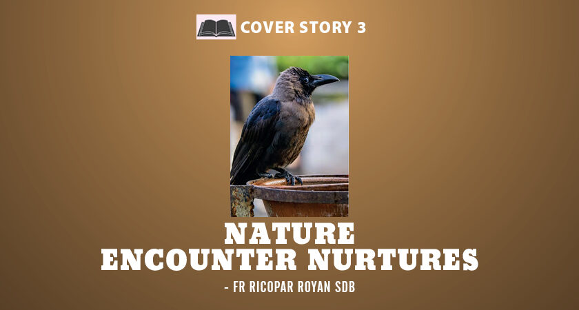 Nature Encounter Nurtures