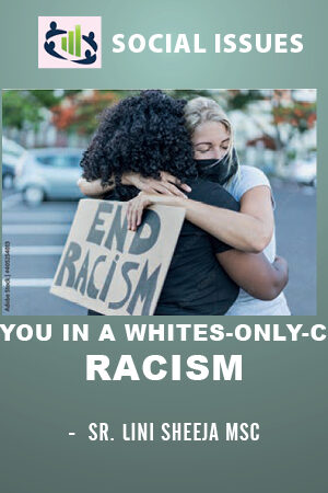 Why are you in a Whites-only-Carriage?  Racism