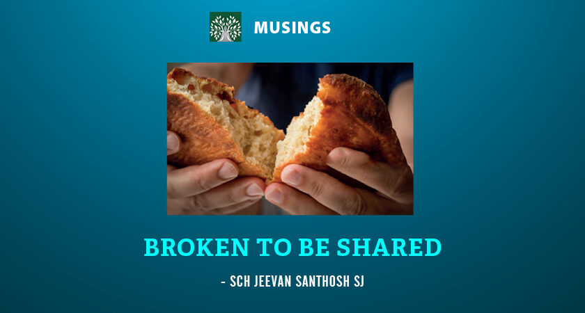 Broken to be Shared