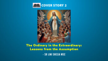 The Ordinary in the Extraordinary:  Lessons from the Assumption