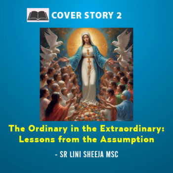 The Ordinary in the Extraordinary:  Lessons from the Assumption