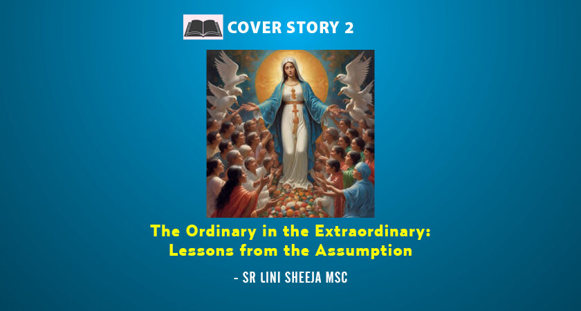 The Ordinary in the Extraordinary:  Lessons from the Assumption