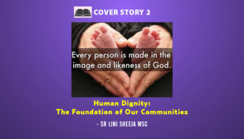 Human Dignity: The Foundation of Our Communities