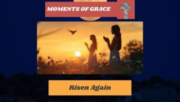 RISEN AGAIN